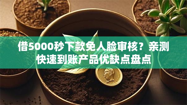 借5000秒下款免人脸审核？亲测快速到账产品优缺点盘点