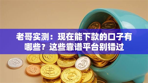 老哥实测：现在能下款的口子有哪些？这些靠谱平台别错过