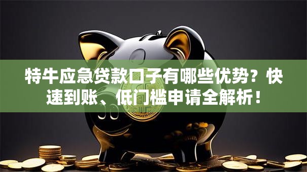 特牛应急贷款口子有哪些优势？快速到账、低门槛申请全解析！