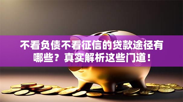不看负债不看征信的贷款途径有哪些？真实解析这些门道！
