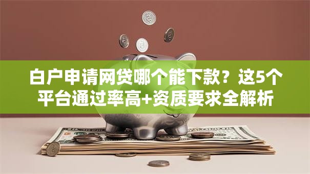 白户申请网贷哪个能下款？这5个平台通过率高+资质要求全解析