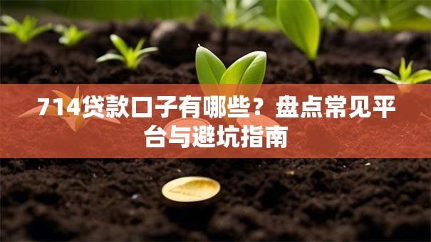 714贷款口子有哪些？盘点常见平台与避坑指南