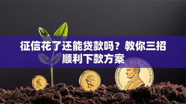 征信花了还能贷款吗？教你三招顺利下款方案