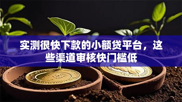 实测很快下款的小额贷平台，这些渠道审核快门槛低