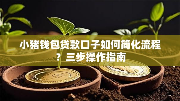 小猪钱包贷款口子如何简化流程？三步操作指南