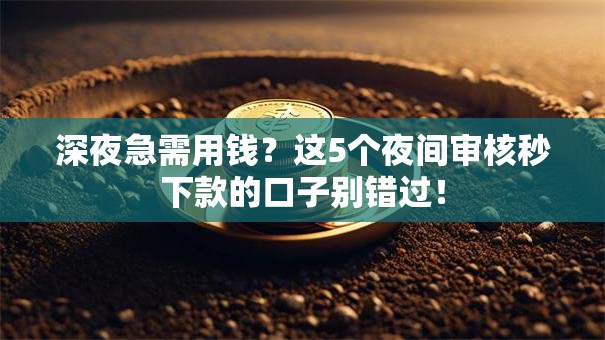 深夜急需用钱？这5个夜间审核秒下款的口子别错过！