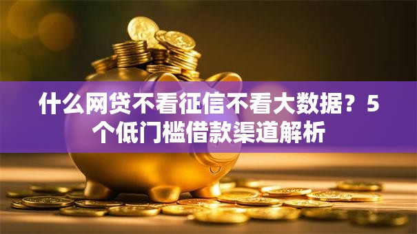 什么网贷不看征信不看大数据？5个低门槛借款渠道解析