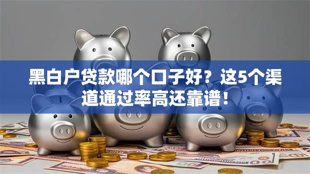黑白户贷款哪个口子好？这5个渠道通过率高还靠谱！