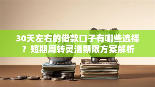 30天左右的借款口子有哪些选择？短期周转灵活期限方案解析