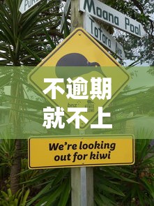 不逾期就不上征信？贷款征信的隐藏规则揭秘