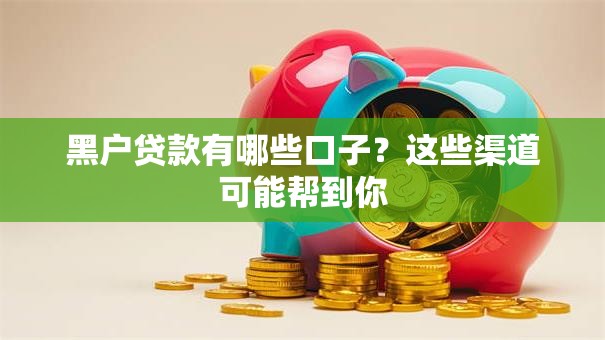 黑户贷款有哪些口子？这些渠道可能帮到你