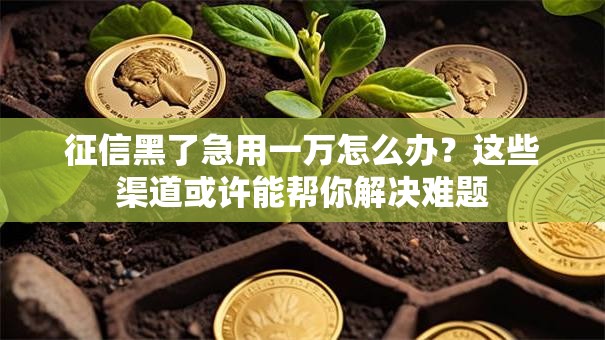 征信黑了急用一万怎么办？这些渠道或许能帮你解决难题
