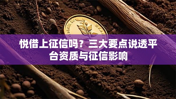 悦借上征信吗？三大要点说透平台资质与征信影响