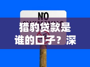 猎豹贷款是谁的口子？深度解析平台背景与使用风险