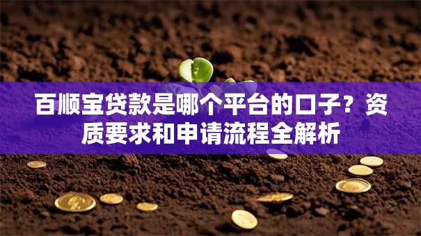 百顺宝贷款是哪个平台的口子？资质要求和申请流程全解析