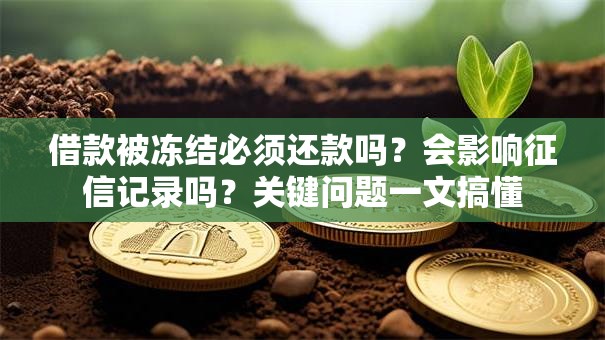 借款被冻结必须还款吗？会影响征信记录吗？关键问题一文搞懂