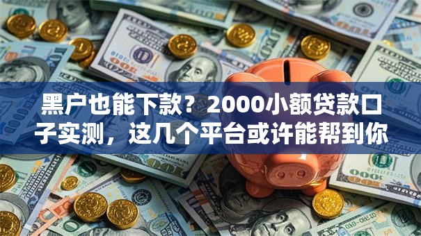 黑户也能下款？2000小额贷款口子实测，这几个平台或许能帮到你！