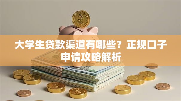 大学生贷款渠道有哪些？正规口子申请攻略解析