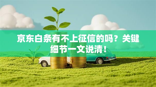 京东白条有不上征信的吗？关键细节一文说清！