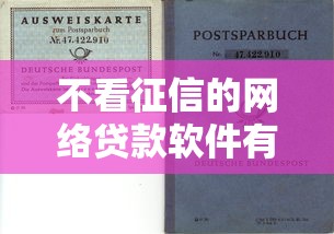 不看征信的网络贷款软件有哪些靠谱选择？一文详解申请流程与风险提示