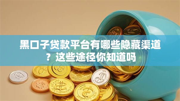 黑口子贷款平台有哪些隐藏渠道？这些途径你知道吗
