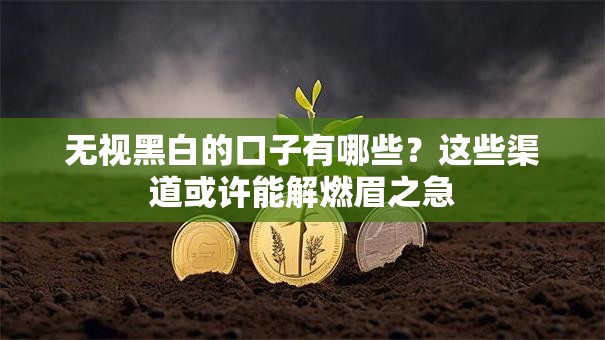 无视黑白的口子有哪些？这些渠道或许能解燃眉之急