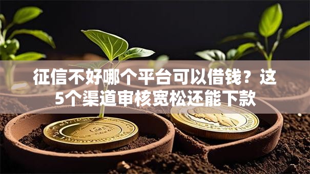 征信不好哪个平台可以借钱？这5个渠道审核宽松还能下款