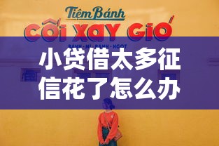 小贷借太多征信花了怎么办？3步自救指南来了