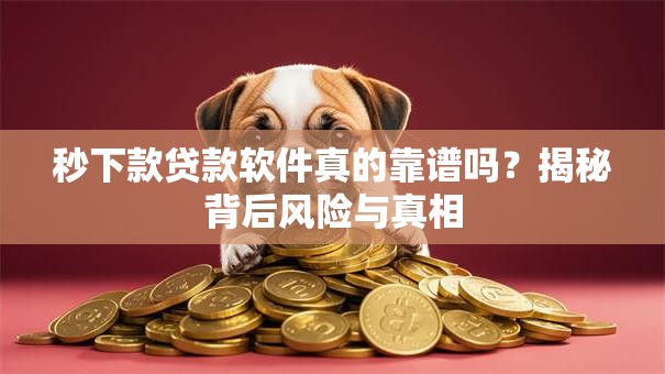 秒下款贷款软件真的靠谱吗？揭秘背后风险与真相