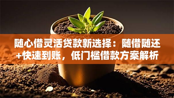 随心借灵活贷款新选择：随借随还+快速到账，低门槛借款方案解析