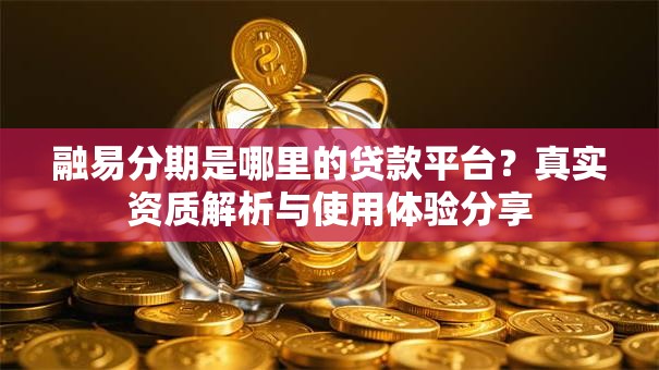 融易分期是哪里的贷款平台？真实资质解析与使用体验分享