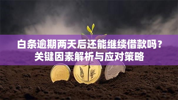 白条逾期两天后还能继续借款吗？关键因素解析与应对策略