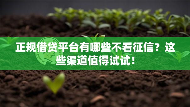 正规借贷平台有哪些不看征信？这些渠道值得试试！