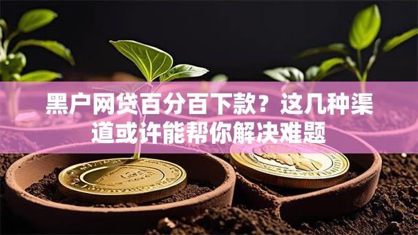 黑户网贷百分百下款？这几种渠道或许能帮你解决难题
