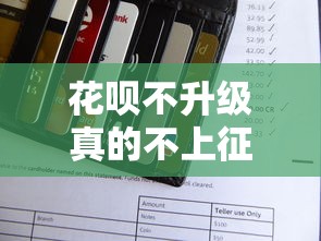 花呗不升级真的不上征信吗？用户必看的信用影响全解析