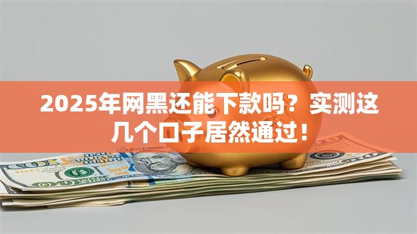 2025年网黑还能下款吗？实测这几个口子居然通过！