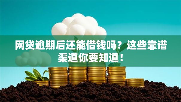 网贷逾期后还能借钱吗？这些靠谱渠道你要知道！