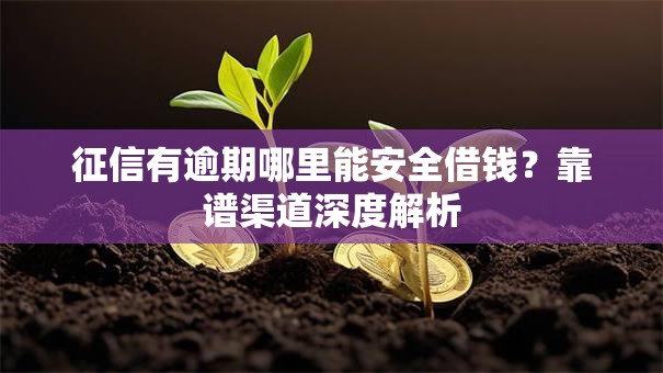 征信有逾期哪里能安全借钱？靠谱渠道深度解析