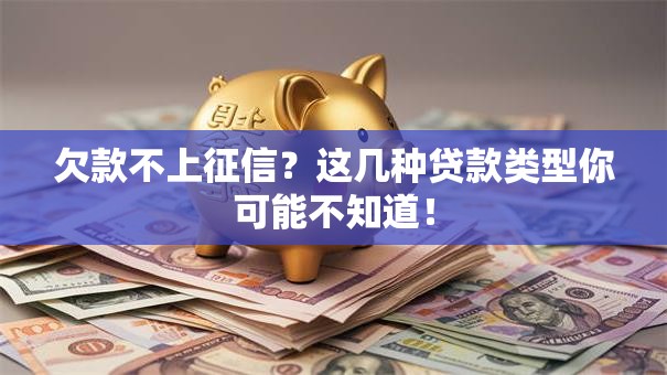 欠款不上征信？这几种贷款类型你可能不知道！