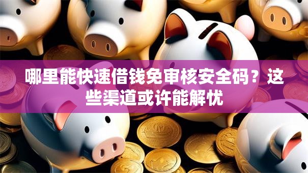 哪里能快速借钱免审核安全码？这些渠道或许能解忧