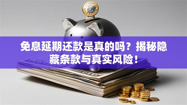 免息延期还款是真的吗？揭秘隐藏条款与真实风险！