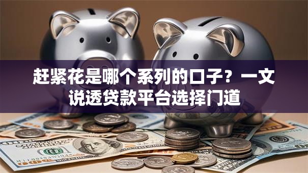 赶紧花是哪个系列的口子？一文说透贷款平台选择门道