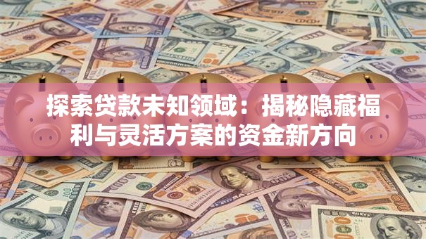 探索贷款未知领域：揭秘隐藏福利与灵活方案的资金新方向
