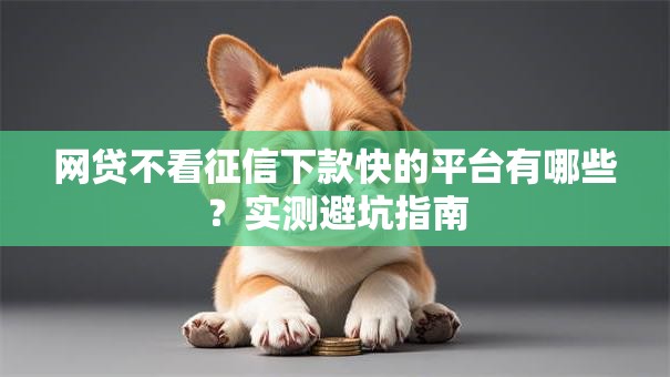 网贷不看征信下款快的平台有哪些？实测避坑指南