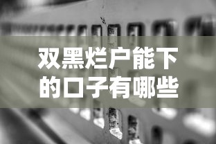 双黑烂户能下的口子有哪些？真实渠道深度解析
