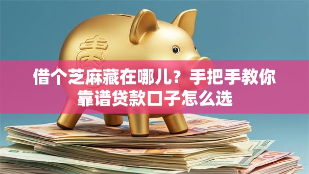 借个芝麻藏在哪儿？手把手教你靠谱贷款口子怎么选