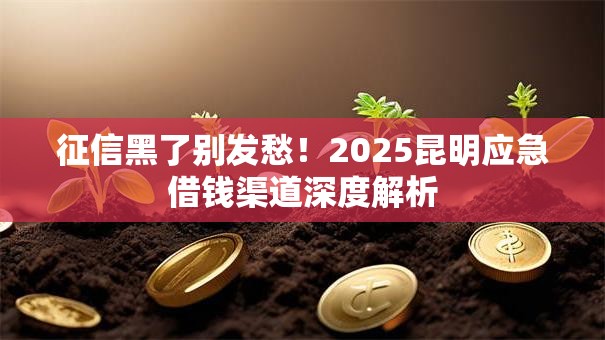 征信黑了别发愁！2025昆明应急借钱渠道深度解析