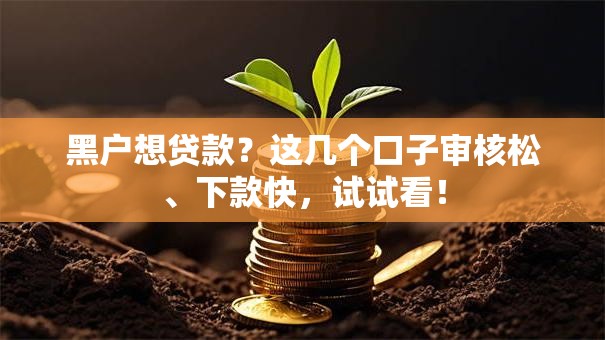 黑户想贷款？这几个口子审核松、下款快，试试看！