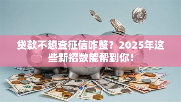 贷款不想查征信咋整？2025年这些新招数能帮到你！
