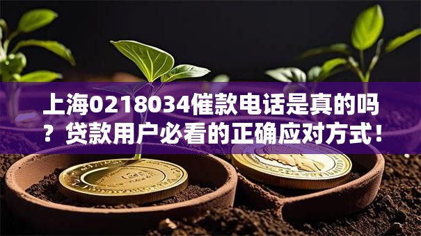 上海0218034催款电话是真的吗？贷款用户必看的正确应对方式！